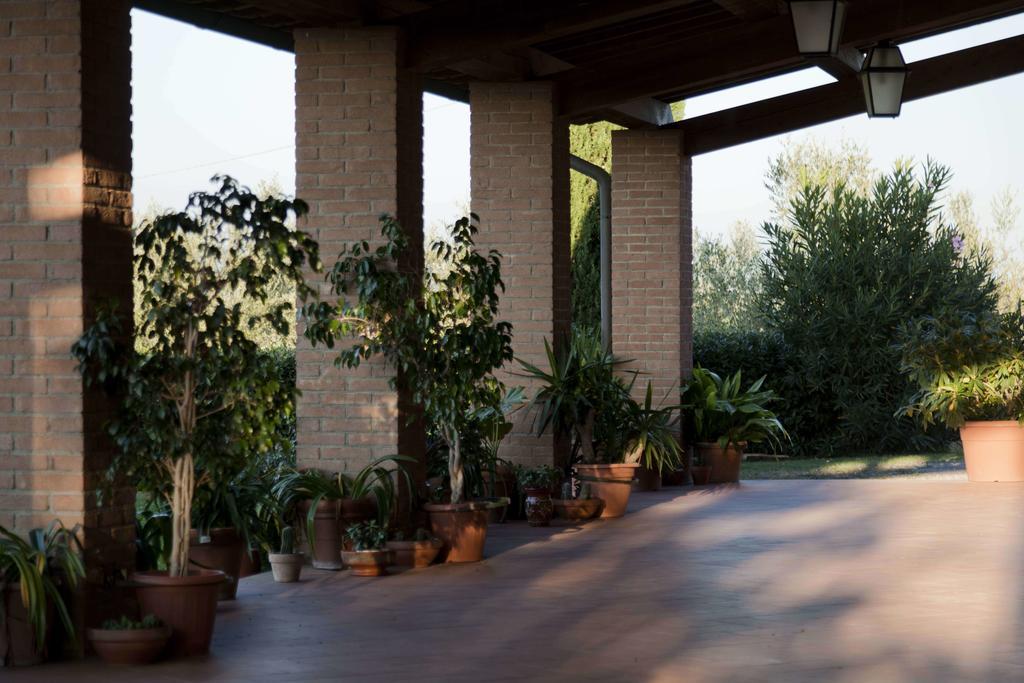 Tenuta Di Colle Alberti Agriturismo Villa Cerreto Guidi Exterior photo